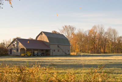 _DSC0001-3.jpg- Morning Light - Falling Leaves - Franklin, CT
