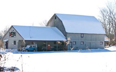 _DSC0011.