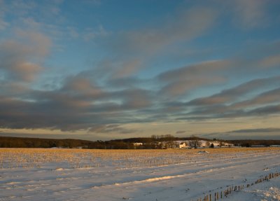 _DSC0015.