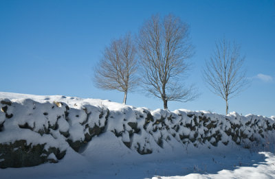 _DSC0025.