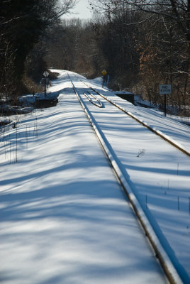 _DSC0029.