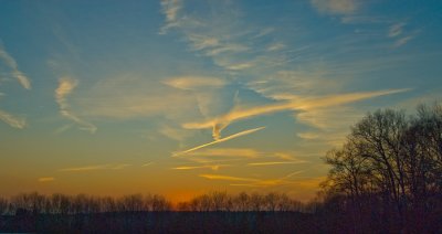 _DSC0004.