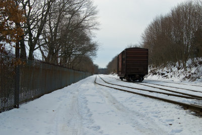 _DSC0037.