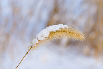 _DSC0008.jpg