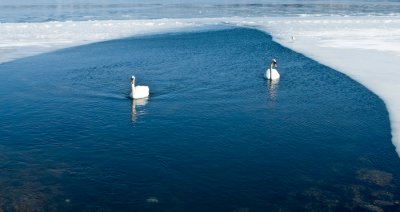 _DSC0040.