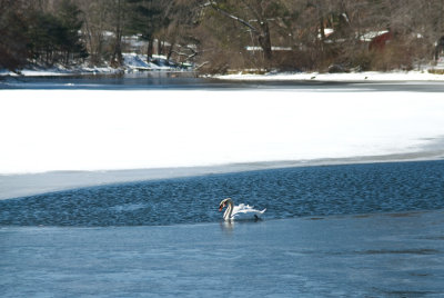 _DSC0056.
