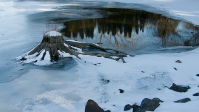 _DSC0061.