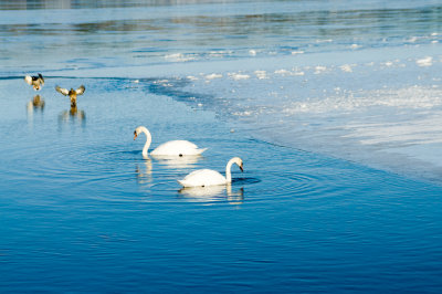 _DSC0074.