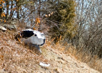 _DSC0041. Rte. 165 CT