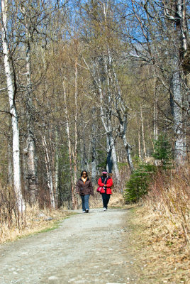 _DSC0705.jpg