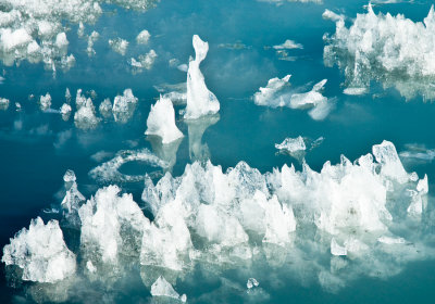 _DSC0226. Floating Ice I