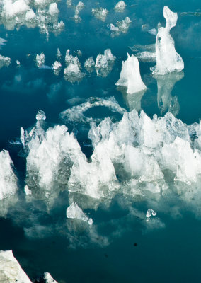 _DSC0227. Floating Ice II