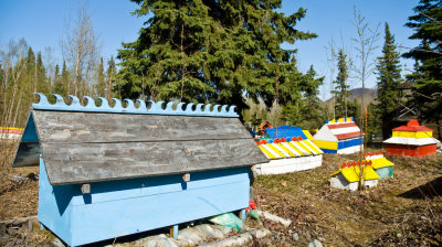 _DSC0772.jpg