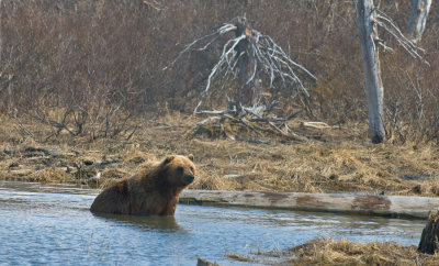 _DSC0045.