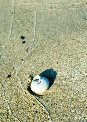 _DSC0027. On The Beach V