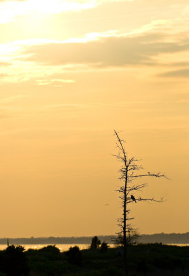 _DSC0001. Setting Sun