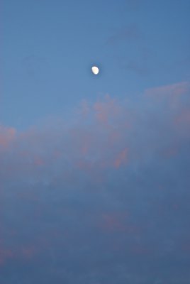 _DSC0036.