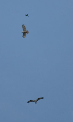 _DSC0030. Sorties