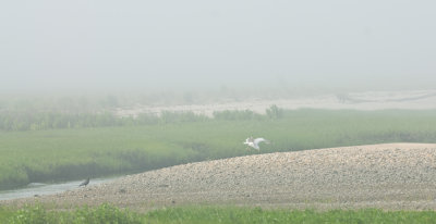 _DSC0042.