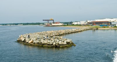 _DSC0092. Martha's Vineyard Ferry Terminal, Quonset, RI