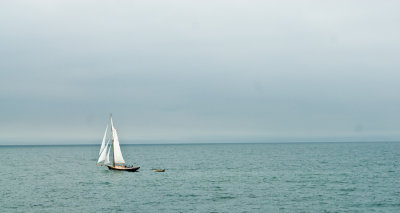 _DSC0111. White Sails
