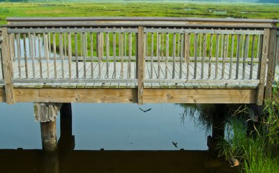 _DSC0053. Water Under The Bridge