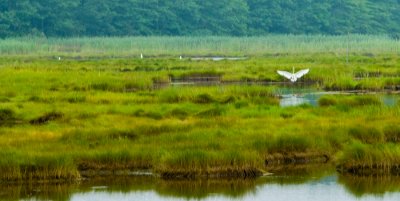 _DSC0087. Untitled