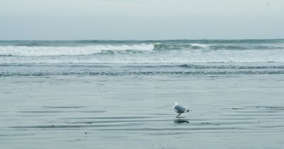 _DSC0048.