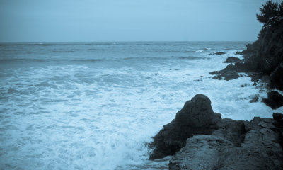 _DSC0095.