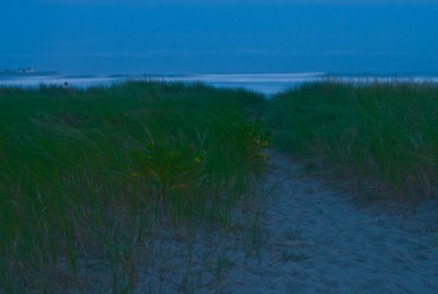 _DSC0130. -
