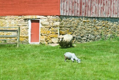 _DSC0010.jpg