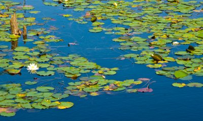 _DSC0031.jpg
