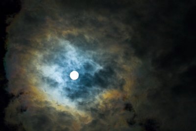 _DSC0031.jpg