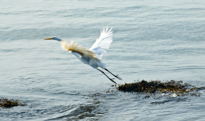 _DSC0083.jpg