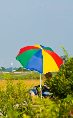 _DSC0096.jpg