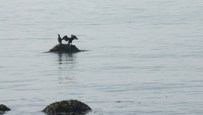 _DSC0101.jpg