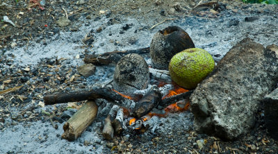 _DSC0066. Lunch - Roast Breadfruit(Breshe) & Red Herring