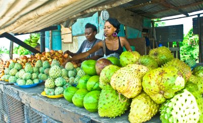 _DSC0111- Soursop, Sweetsop, Ackee - A Family Affair - White Horses