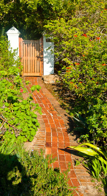 _DSC0380. Pathways