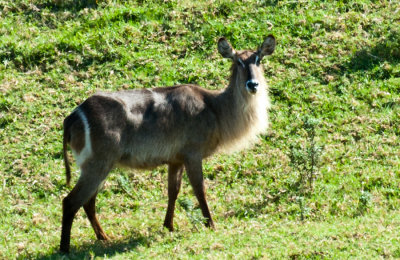 _DSC0095.