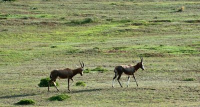 _DSC0114.jpg