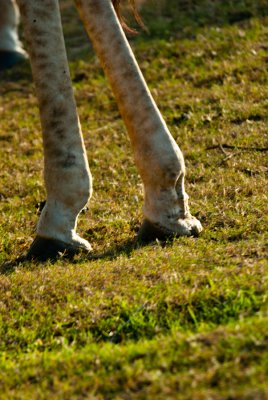 _DSC0158.jpg