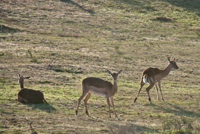 _DSC0179.jpg