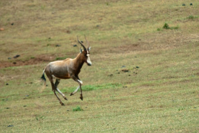 _DSC0155.jpg