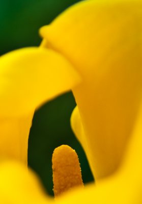 _DSC0053.jpg