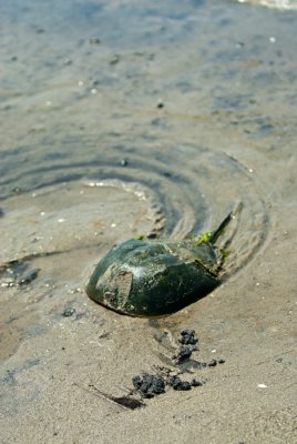 _DSC0125.jpg