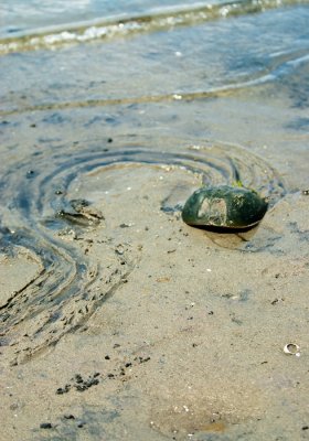 _DSC0126.jpg