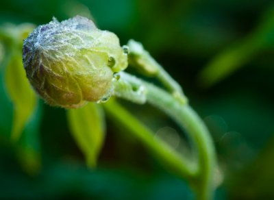 _DSC0407.jpg