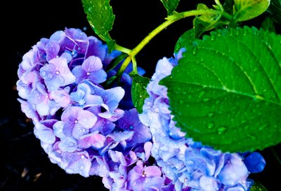 _DSC0422.jpg