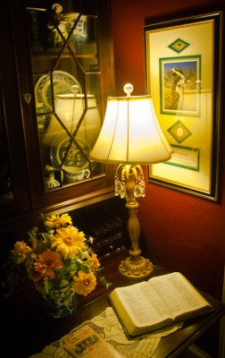 _DSC0004. The Willow Inn